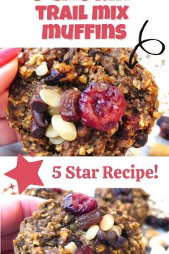 oatmeal pumpkin trail mix muffins