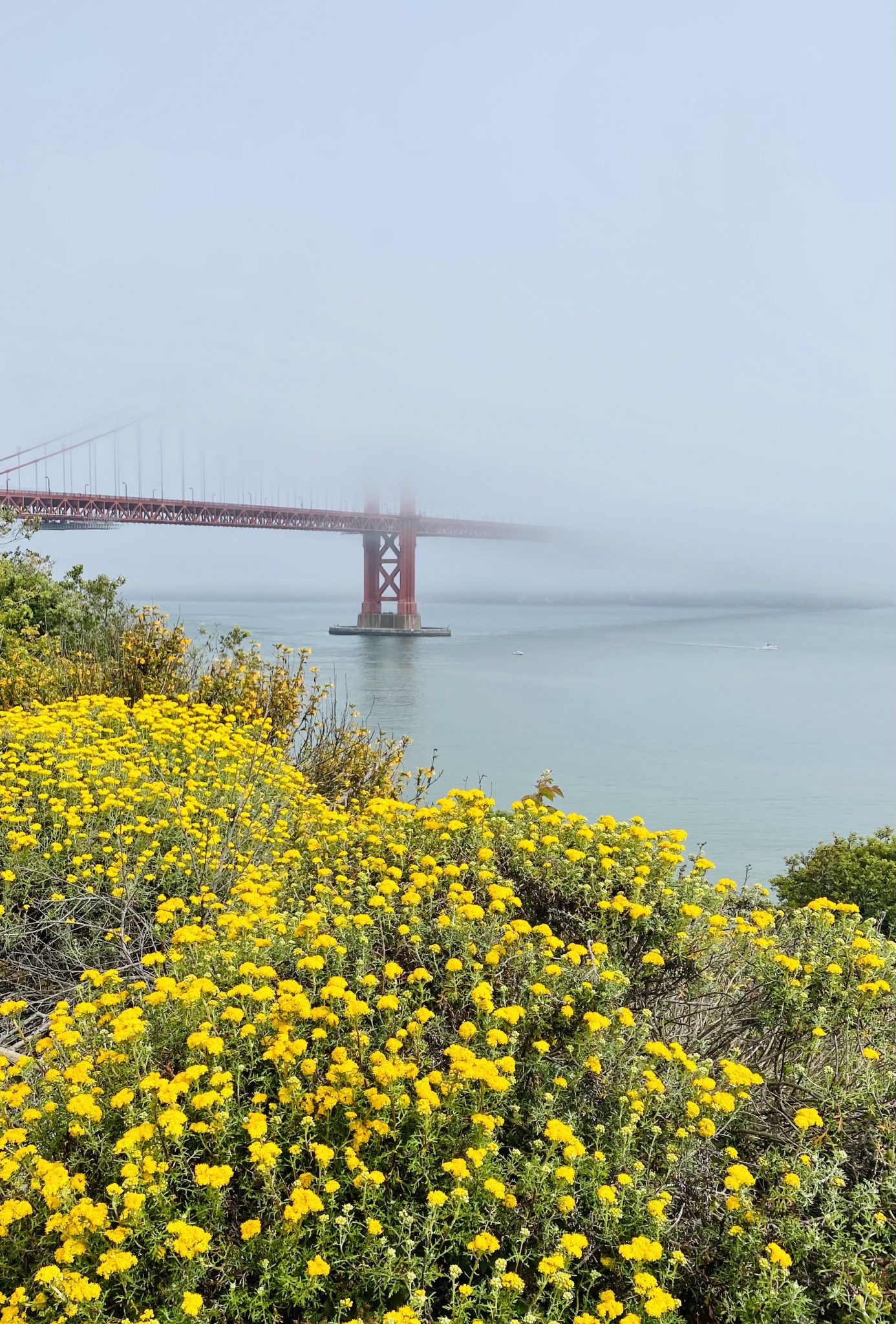 Wine Country Trekking 4 days of trail running & hiking Northern California