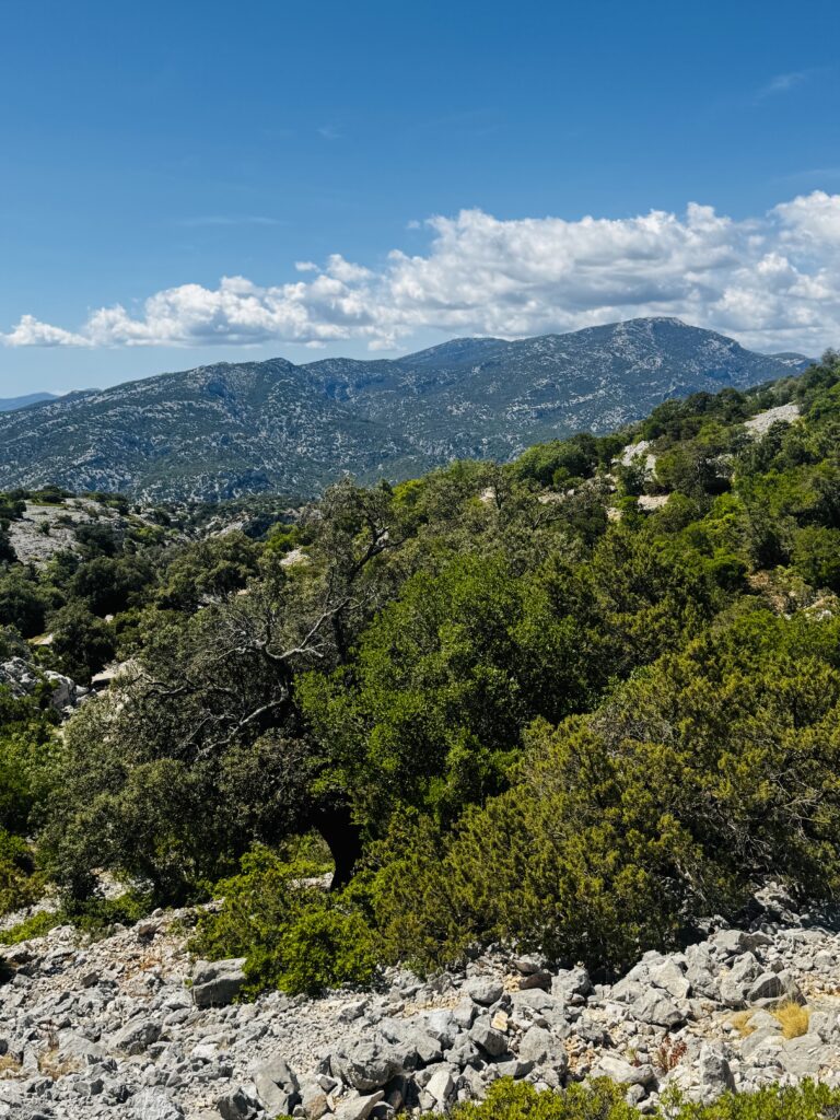 Sardinia 