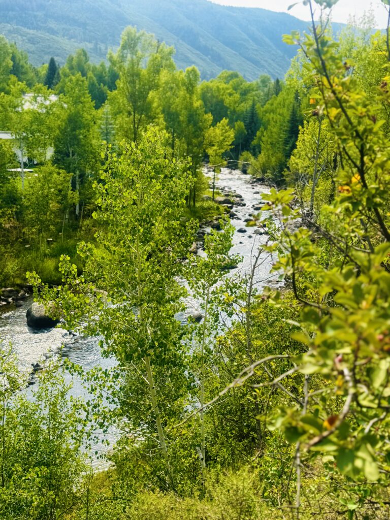 Aspen Colorado 2025